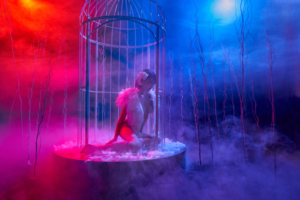 Photograph Kenneth Luk Caged Bird on One Eyeland
